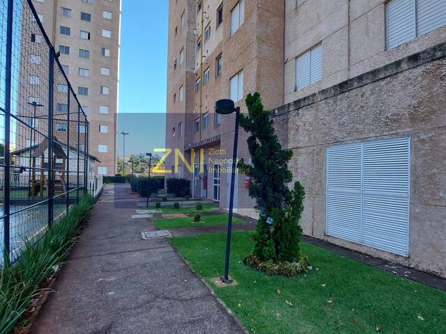 #1443 - Apartamento para Venda em Ribeirão Preto - SP - 2